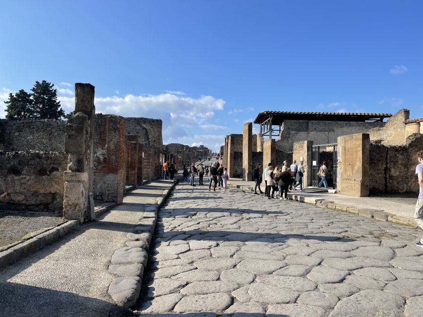 From Naples: Pompeii Guided Tour with Skip-the-Line Tickets - Pompeii on rails: the Naples pickup and 3.5-hour flow