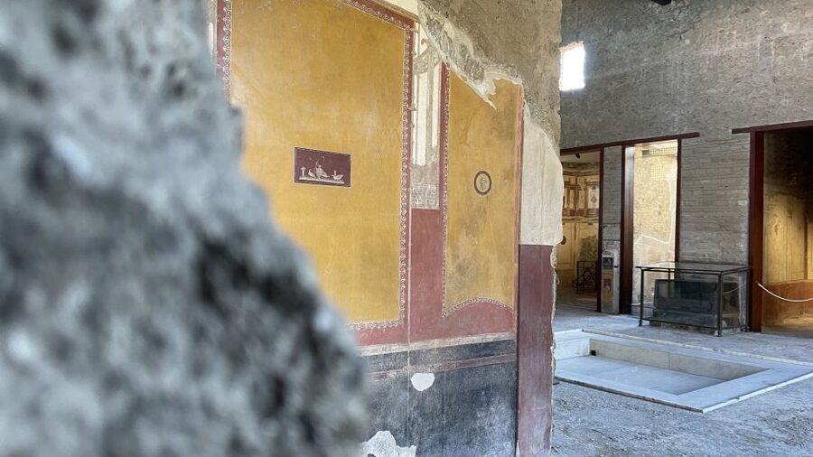 From Naples: Pompeii Guided Tour with Skip-the-Line Tickets - Skip-the-line tickets through a separate entrance: what you save