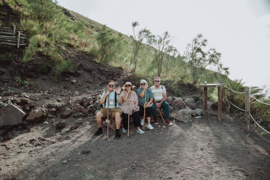 From Naples: Pompeii & Mount Vesuvius Full-Day Private Tour - Transportation and private-group value: is $533+ a fair deal?
