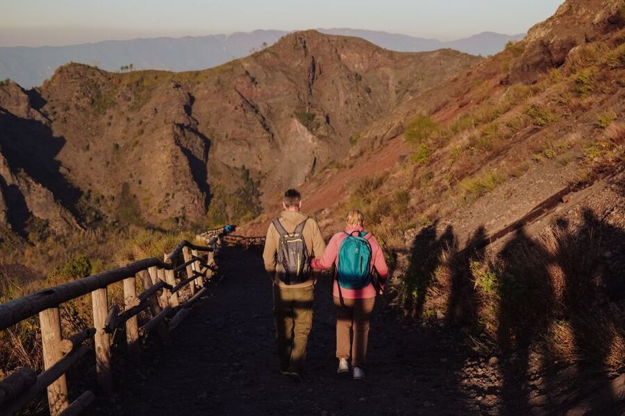 From Naples: Pompeii & Mount Vesuvius Full-Day Private Tour - Language support: a big deal when you’re paying for the guide