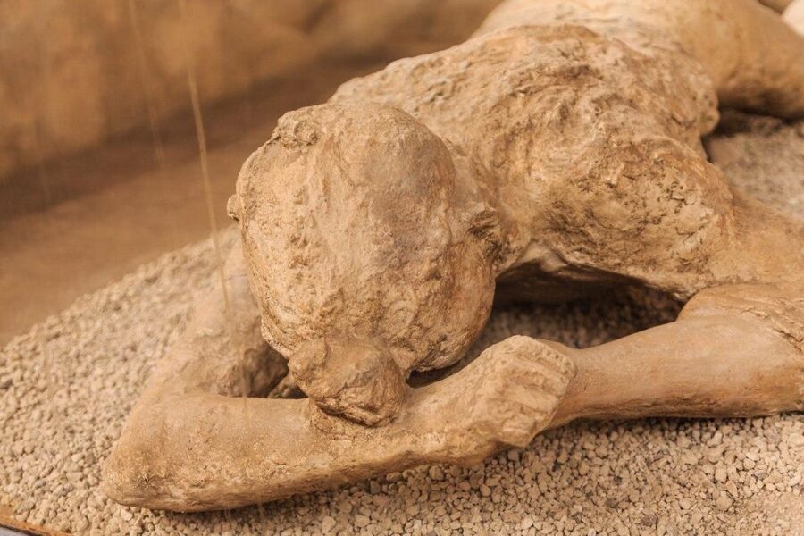 From Naples: Pompeii & Mount Vesuvius Full-Day Private Tour - Pickup, van timing, and how the day stays organized