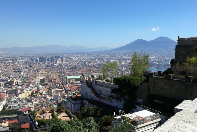 From Naples: Pompeii & Mount Vesuvius Full-Day Tour with Lunch - From Naples pickup to a 9:00 start: the day runs on time