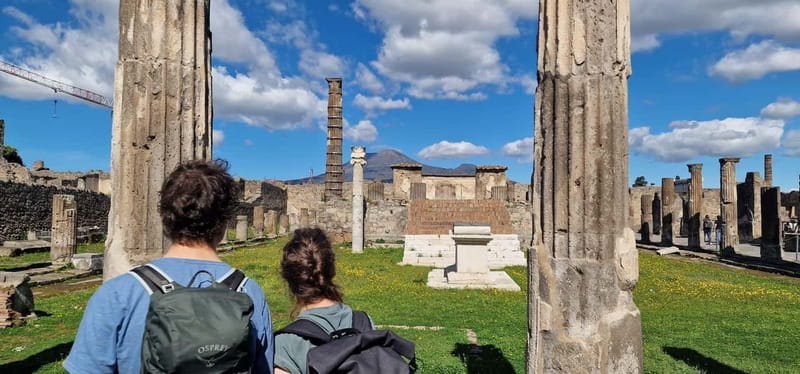 From Naples: Pompeii Private Tour with Transfer and Guide - Key things that make this Pompeii tour work well