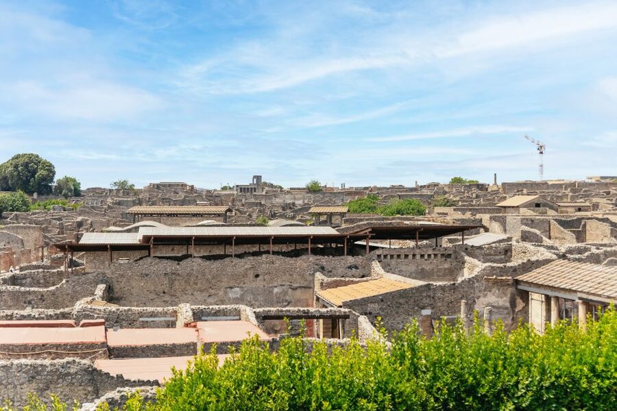 From Naples: Pompeii Ruins & Mount Vesuvius Day Tour - Price and value: what $120.84 buys you