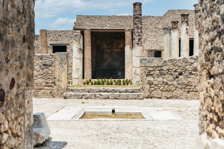 From Naples: Pompeii Ruins & Mount Vesuvius Day Tour - Should you book this Pompeii Ruins & Mount Vesuvius day tour?