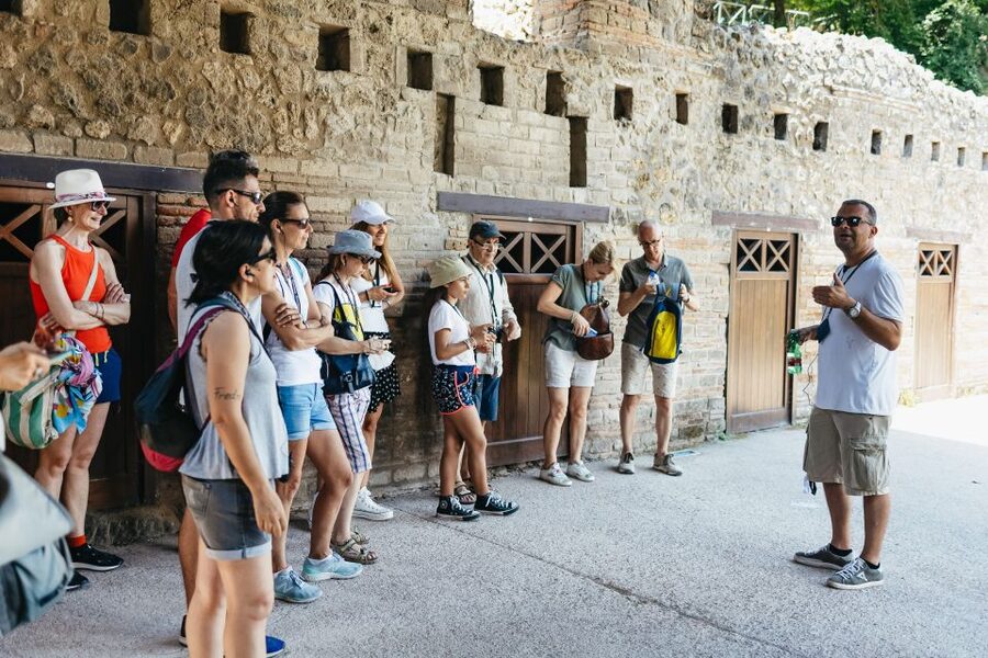 From Naples: Pompeii Ruins & Mount Vesuvius Day Tour - Pickup, timing, and how the day stays organized
