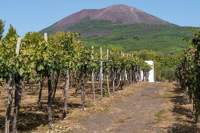 From Naples: Pompeii & Wine Tasting" Private Day Tour - Price and value: what you’re really paying for