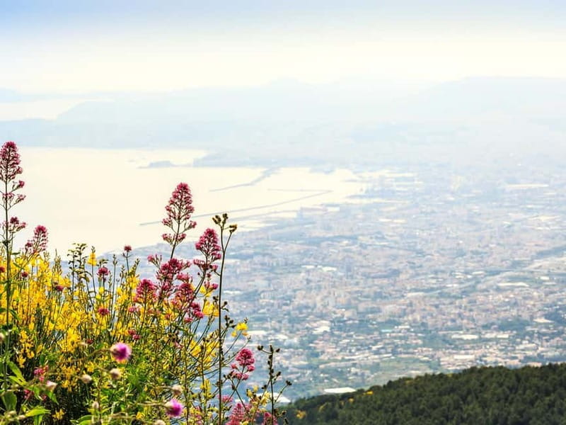 From Naples Port: Pompeii and Mt. Vesuvius Day Trip - Key Things You’ll Notice on Day Trip