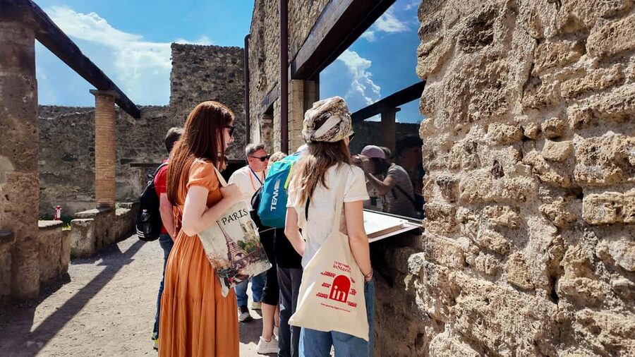 From Naples Port: Pompeii Guided Walking tour or smart guide - Timing that works for the rest of Naples