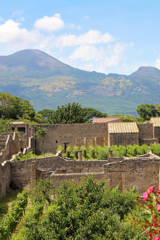 From Naples Port:Pompeii+Vesuvius tour - How the pacing works (and when it might feel rushed)