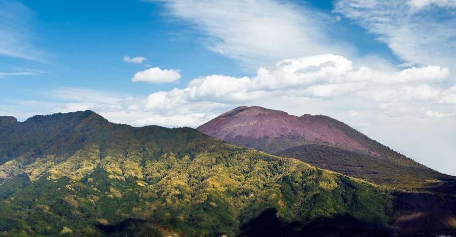 From Naples_ Vesuvius easy transfer+tickets and audioguide - Naples Minibus + Skip-the-Line: The Logistics Are the Product