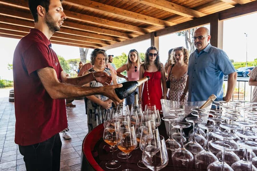 From Naples: Wine Tasting Tour on Vesuvius Slopes with Lunch - Lunch on the terrace: the pairing is the whole point