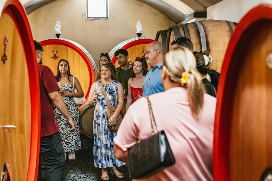 From Naples: Wine Tasting Tour on Vesuvius Slopes with Lunch - The timing: what you should expect in a 4-hour tour