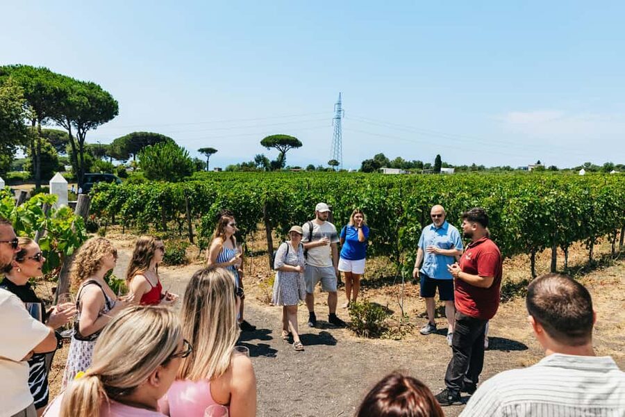 From Naples: Wine Tasting Tour on Vesuvius Slopes with Lunch - Who should book this Vesuvius wine tasting with lunch