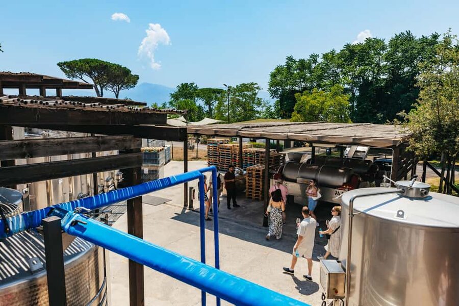 From Naples: Wine Tasting Tour on Vesuvius Slopes with Lunch - Should you book this tour or choose something else?