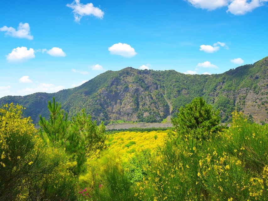 From Pompei: Mount Vesuvius Sunset Trip with Entry Ticket - The 90-Minute Free Time on Vesuvius: How to Use It