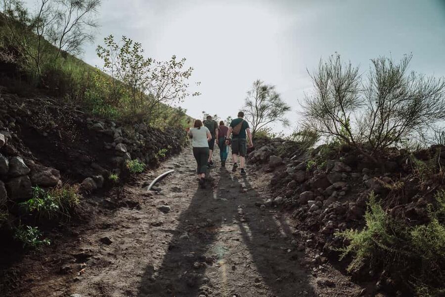 From Pompeii: Mount Vesuvius Guided Tour with Transfer - Should You Book the Pompeii to Vesuvius Guided Tour?