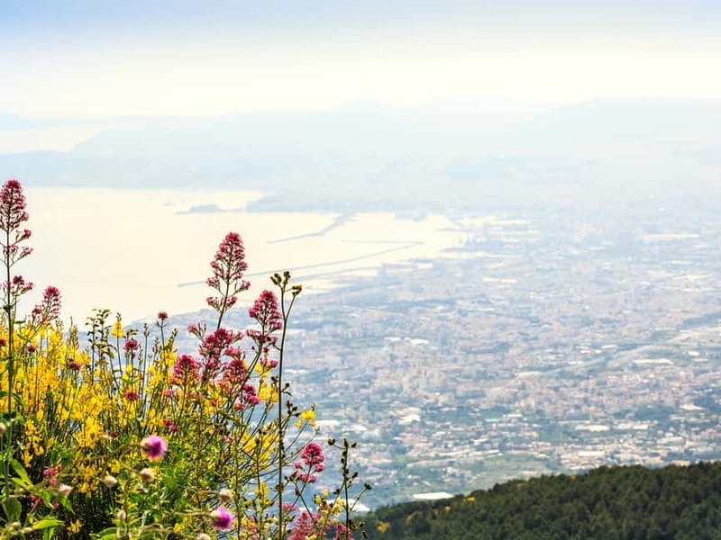 From Pompeii: Mount Vesuvius Hike & Tour by Bus - Pompeii pickup and the bus ride that sets the tone