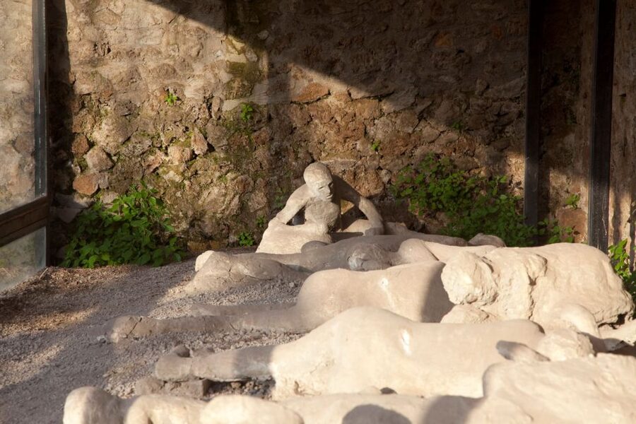 From Positano: Pompeii Ruins Small Group Guided Tour - Small-Group Setup: What a 14-Person Limit Changes at Pompeii
