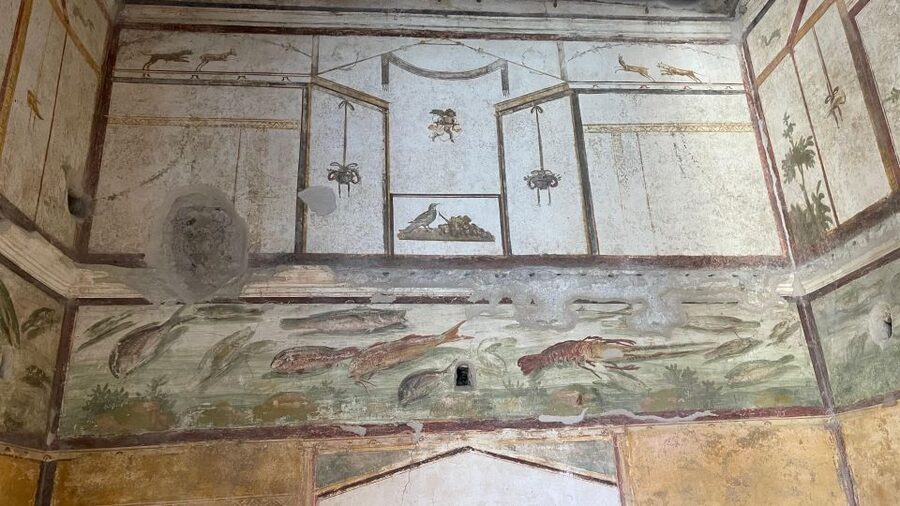 From Positano: Pompeii & Vesuvius tour small group - Language, Guidance, and What You’ll Learn