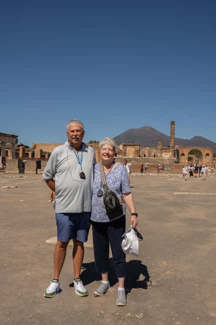From Rome: Luxury Van Day Trip to Pompeii & Sorrento Lunch - Who Should Book This Tour (and Who Should Skip It)