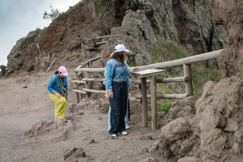 From Salerno: Vesuvius Tour with Entry Ticket & Smart Guide - Entry Ticket to Vesuvius National Park: What You Gain