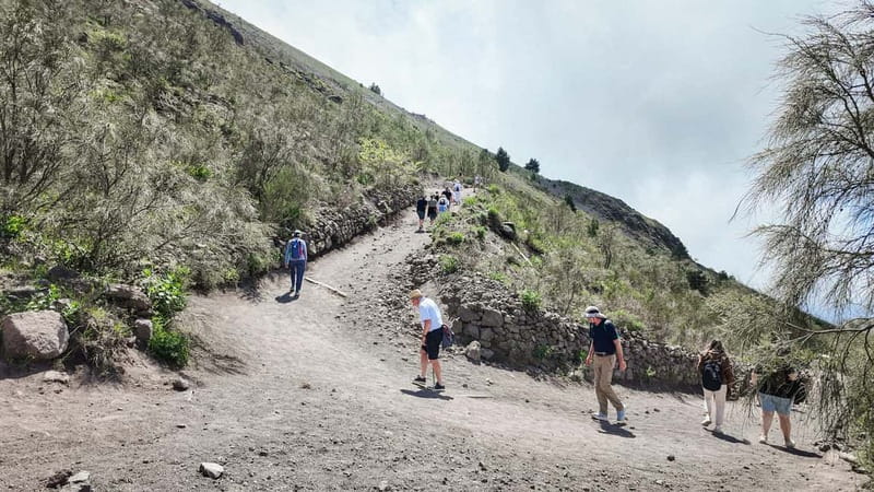 From Salerno: Vesuvius Tour with Entry Ticket & Smart Guide - Price Value at About $45: When This Tour Makes Sense