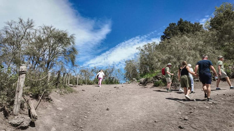 From Salerno: Vesuvius Tour with Entry Ticket & Smart Guide - Who This Salerno to Vesuvius Tour Is Best For (and Who Should Skip It)