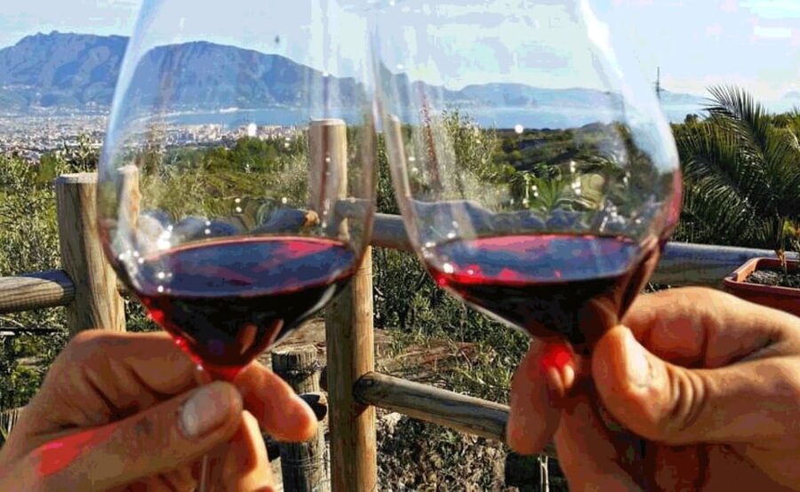 From Sorrento: Skip-the-Line Pompeii Tour and Vineyard Lunch - What the Tour Feels Like on Foot: Heat, Shoes, and Pace