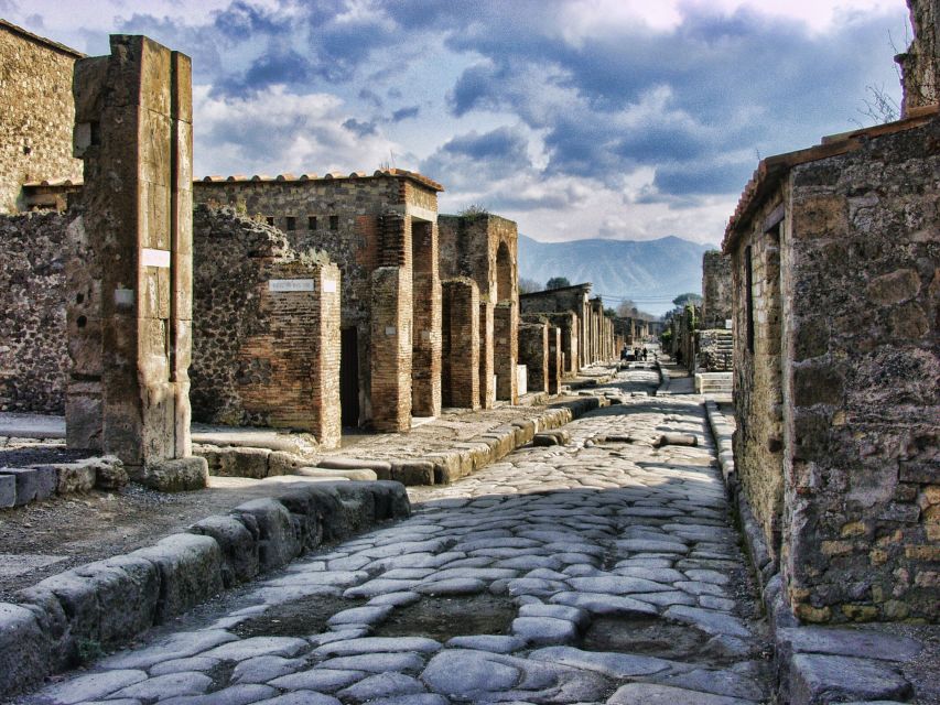 From Sorrento: Skip-the-Line Pompeii Tour and Vineyard Lunch - Price and Value: Is $157.47 Worth It?