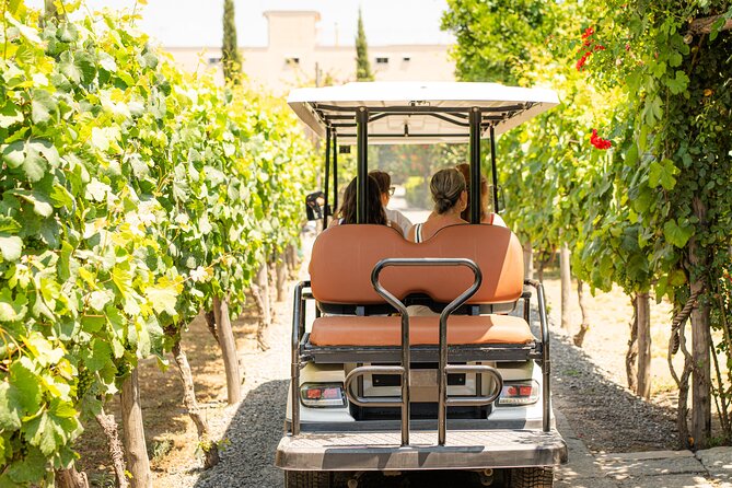 From Vineyard to Table: Wine Tasting & Neapolitan Lunch in Pompei - Key things to know before you go