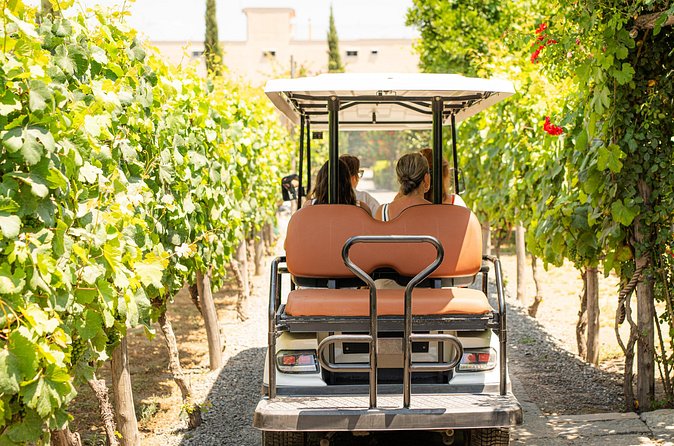 From Vineyard to Table: Wine Tasting & Neapolitan Lunch in Pompei - Lunch in true Neapolitan style: what’s on your plate