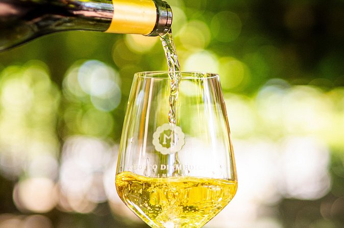 From Vineyard to Table: Wine Tasting & Neapolitan Lunch in Pompei - Logistics you should plan once (not repeatedly)