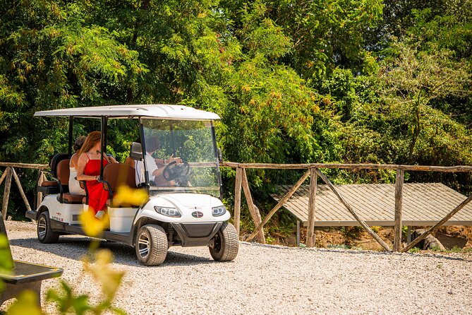 From Vineyard to Table: Wine Tasting & Neapolitan Lunch in Pompei - Who this tour fits best