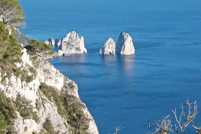 Full-Day Private Capri, Anacapri and Blue Grotto Tour from Naples - Villa San Michele: a nice add-on if you want it