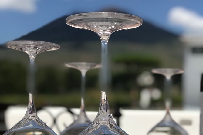 Full Day Private Tour in Pompeii, Vesuvio and Sorrento - My Booking Decision: Should You Book This Pompeii, Vesuvio and Sorrento Tour?