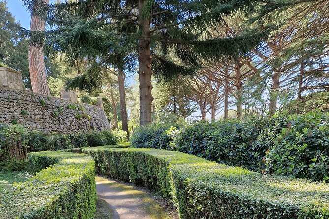 Full Day Private Tour of Pompeii and the Amalfi Coast - Should you book this private Pompeii and Amalfi day trip?