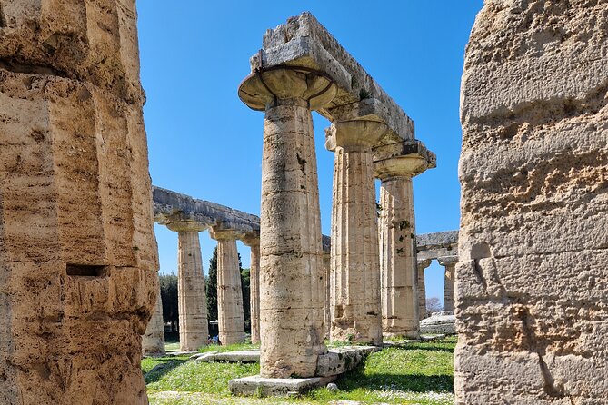 Full Day Private Tour-Temples of Paestum and Ruins of Pompeii - Paestum temples and Pompeii streets—how this day trip really feels