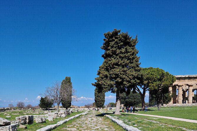 Full Day Private Tour-Temples of Paestum and Ruins of Pompeii - Picking your pickup time: freedom that starts before you leave