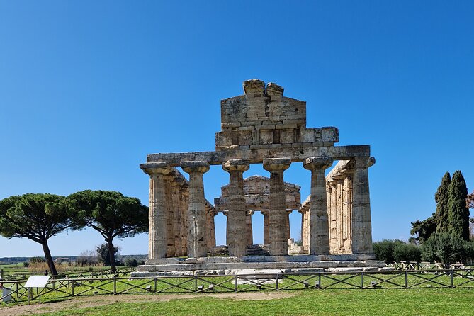Full Day Private Tour-Temples of Paestum and Ruins of Pompeii - Stop 2: Pompeii Archaeological Park and walking a city frozen in time