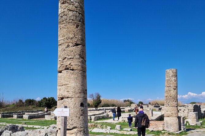 Full Day Private Tour-Temples of Paestum and Ruins of Pompeii - The lunch and tasting options: how to add them without losing the day