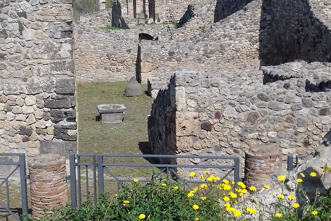 Full Day Tour Pompeii–Sorrento -Positano - Timing, weather, and the reality of an 8-hour day
