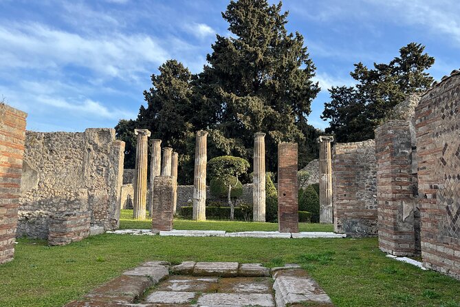 Full Day Tour to Pompeii, Vesuvius and Wine Tasting - Bosco de Medici Winery: Lunch Break With Optional Wine Tasting