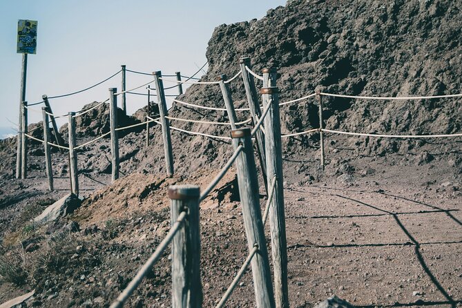 Full Day Tour to Pompeii, Vesuvius and Wine Tasting - Price and Value: What $307.39 Really Buys