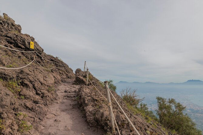 Full Day Tour to Pompeii, Vesuvius and Wine Tasting - Should You Book This Pompeii, Vesuvius, and Wine Day?