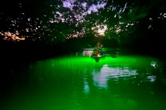 Guided Glow LED Kayak Sunset Activity in Bonita Springs - Sunset Glow Kayaking in Bonita Springs: The Hook