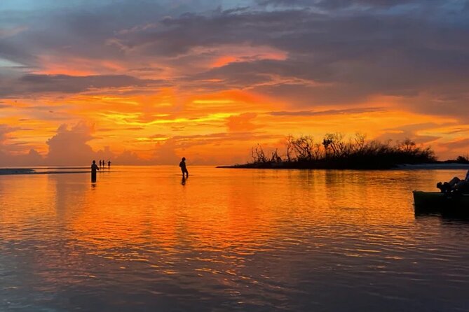 Guided Glow LED Kayak Sunset Activity in Bonita Springs - More Mangrove Tunnels Toward Estero Bay: Where the Learning Clicks