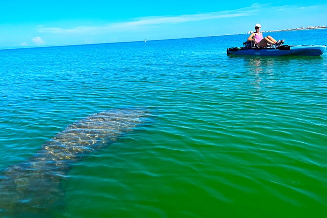 Guided Hobie Kayak EcoTour: Premium Eco Experience Bonita Springs - Key Things I’d Plan Around