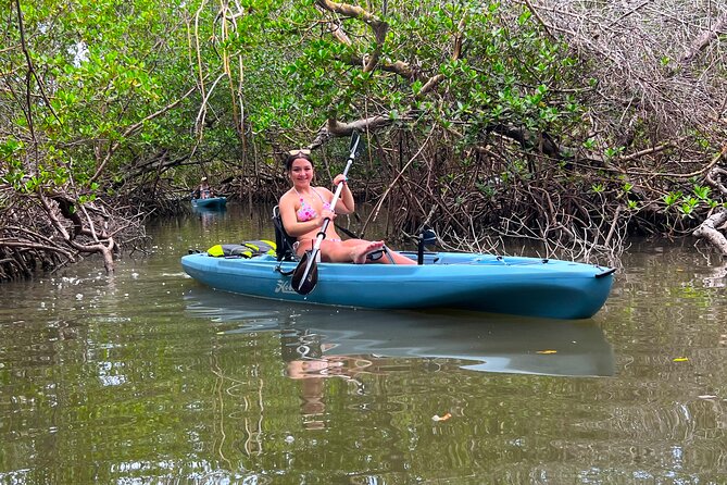 Guided Hobie Kayak EcoTour: Premium Eco Experience Bonita Springs - What You Actually Get Included (and Why It’s Good Value)