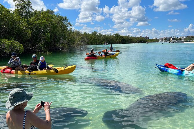 Guided Island EcoTour: CLEAR/Standard Kayak, SUP - Bonita Springs - Key highlights you’ll care about